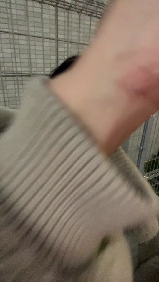 TikTok video thumbnail by syotadayo_n