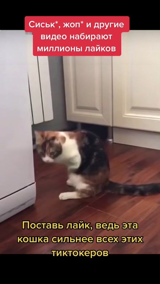 TikTok video thumbnail by ahah_ahah06