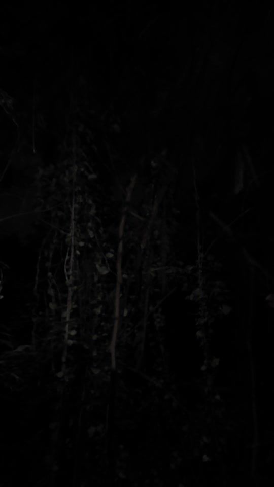 TikTok video thumbnail by happyozone