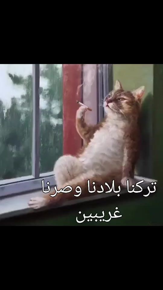 TikTok video thumbnail by amx665