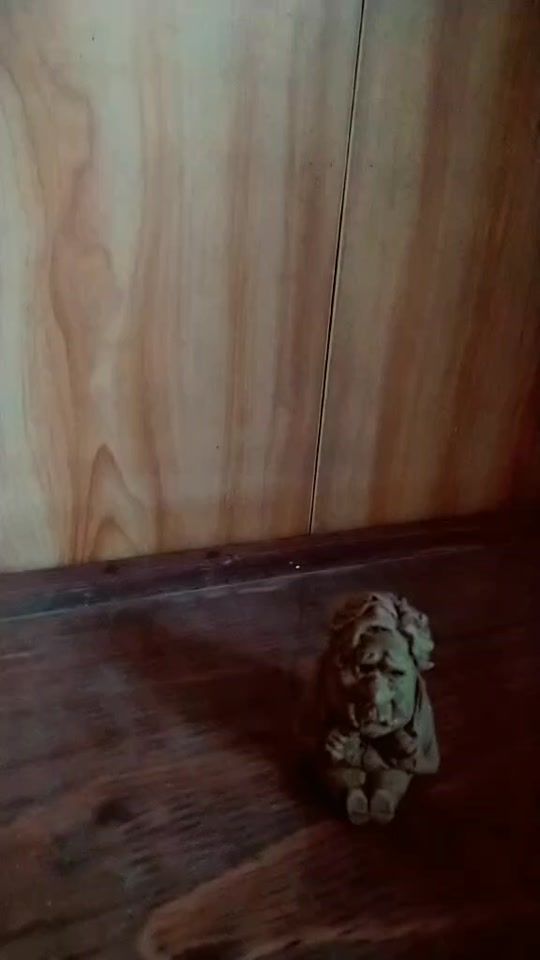 TikTok video thumbnail by otoi_bako