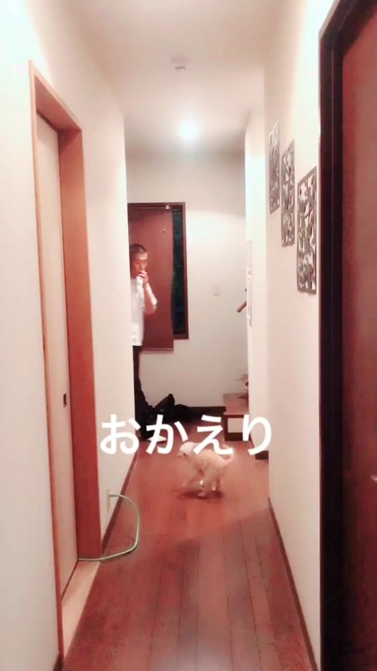 TikTok video thumbnail by tegetege_th3939
