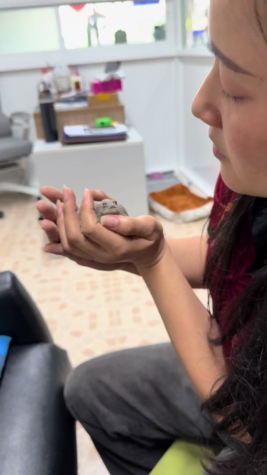 TikTok video thumbnail by mrs_tom18