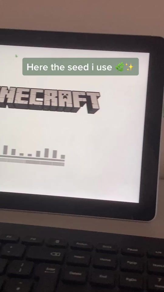 TikTok video thumbnail by otg.doesminecraft