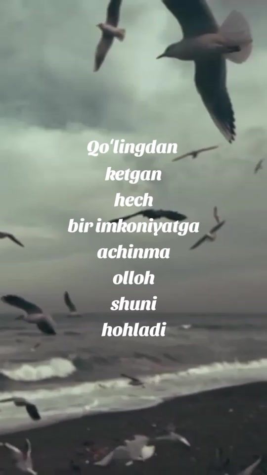 TikTok video thumbnail by shoyista.ibragimo