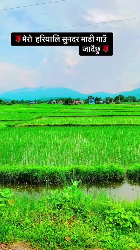 TikTok video thumbnail by tamu_ganga_1