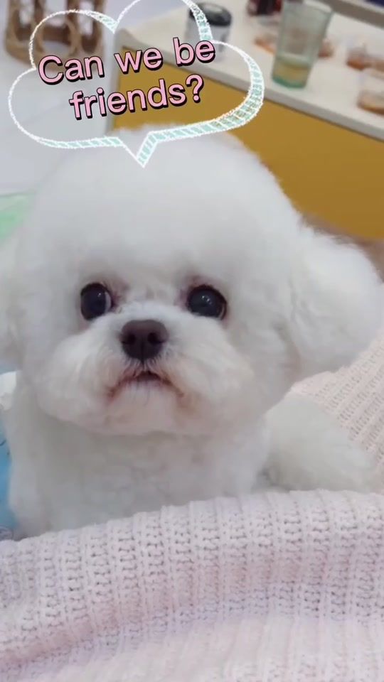 TikTok video thumbnail by cutieyes_