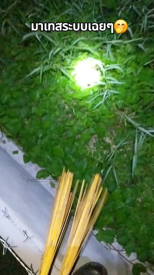TikTok video thumbnail by guner45acp
