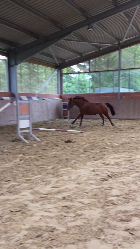 TikTok video thumbnail by lara._fiona
