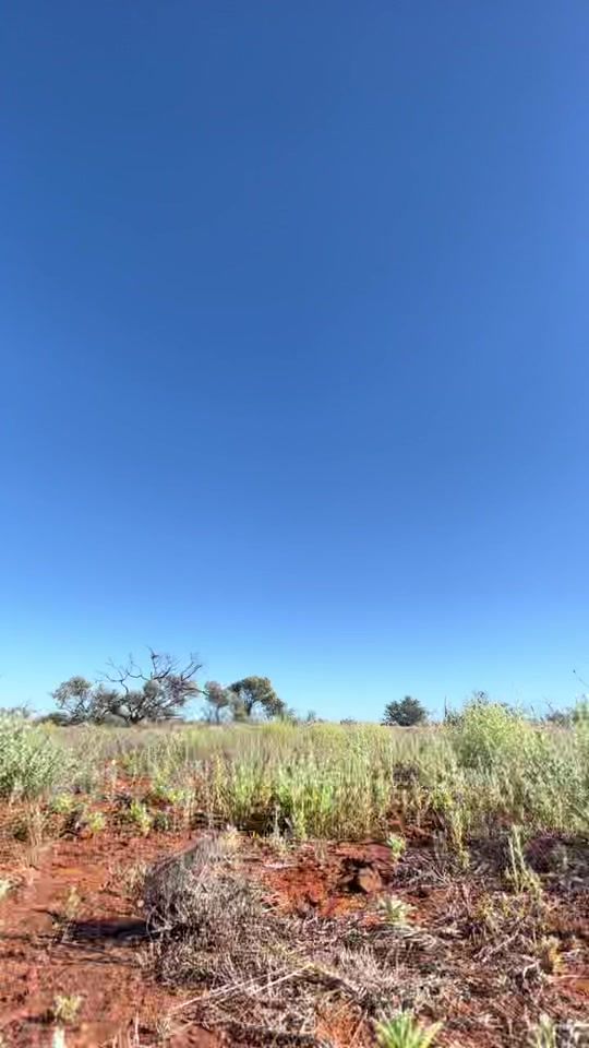 TikTok video thumbnail by webbs_13