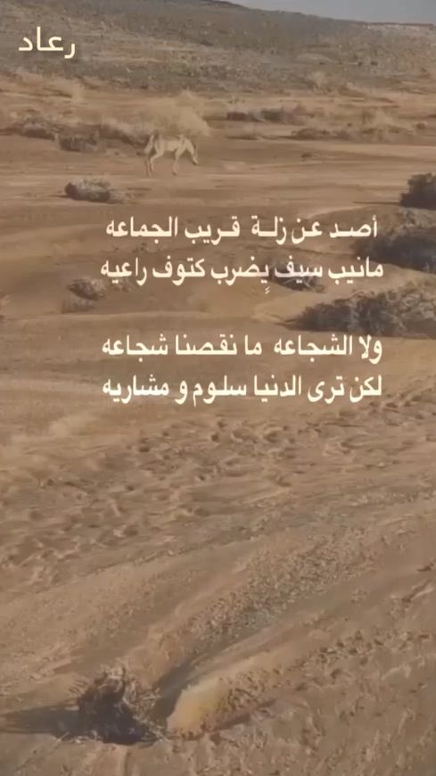 TikTok video thumbnail by rad_3000