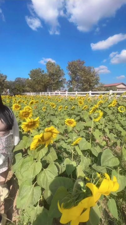 TikTok video thumbnail by minmala7777