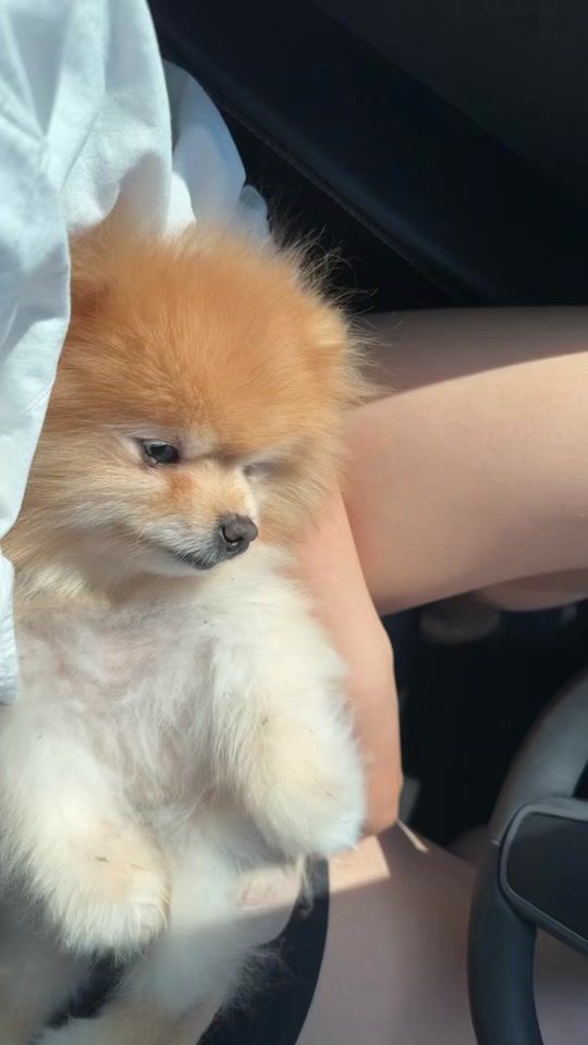 TikTok video thumbnail by gunkim18