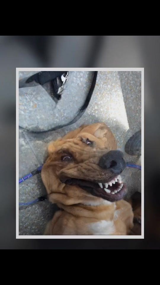 TikTok video thumbnail by nekr0z666