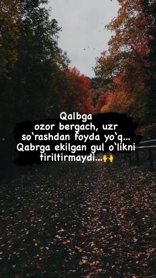 TikTok video thumbnail by hayotiy_gaplar_uz