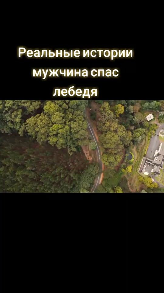 TikTok video thumbnail by skorpion_diman