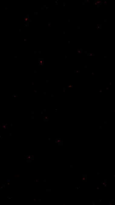 TikTok video thumbnail by _buai_