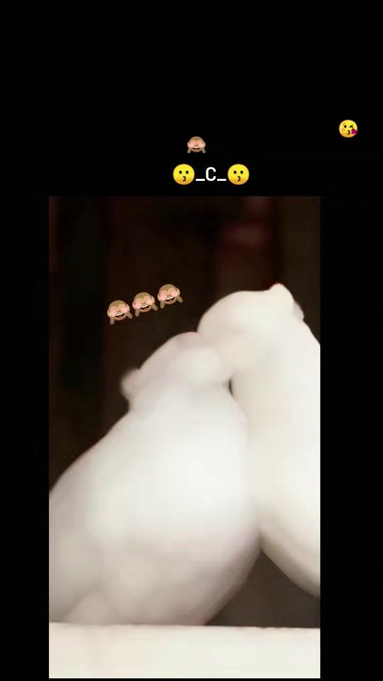 TikTok video thumbnail by tamim_sadking_047_3