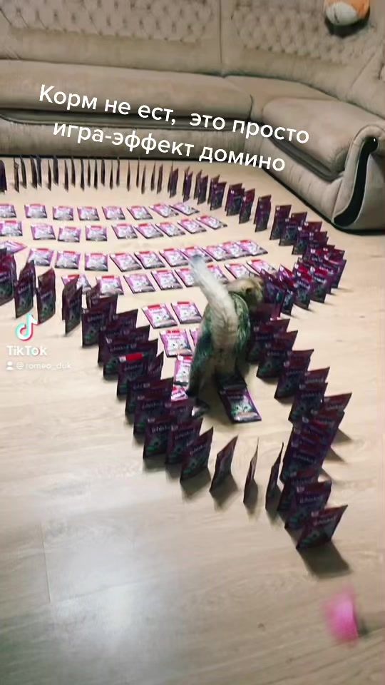 TikTok video thumbnail by romeo_duk