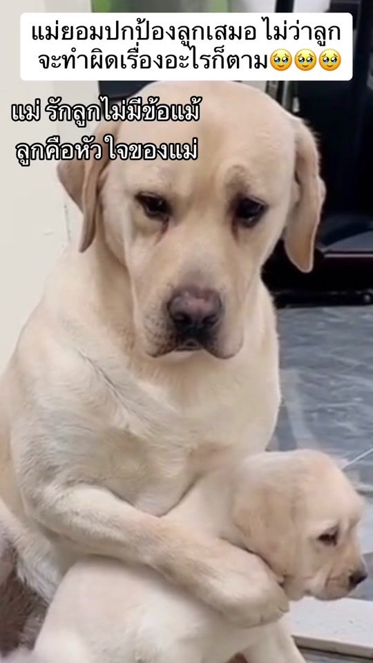 TikTok video thumbnail by dyfrozjsr9q756