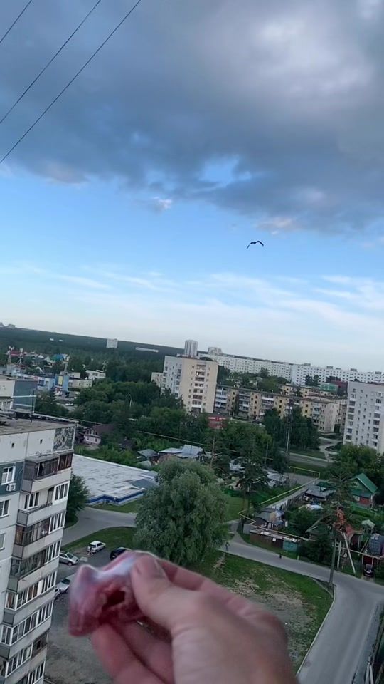 TikTok video thumbnail by nikolaybelozerov