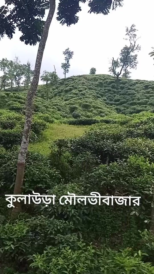 TikTok video thumbnail by jakir1876