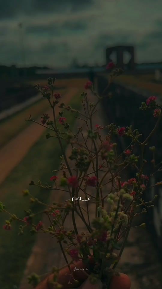 TikTok video thumbnail by _zanu_z