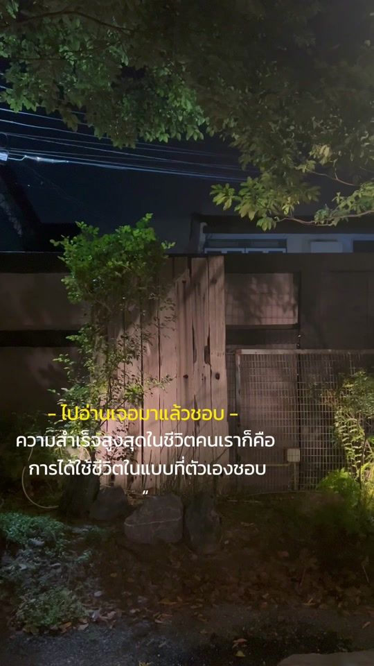 TikTok video thumbnail by whalehealing