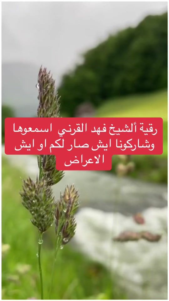 TikTok video thumbnail by al.fqeer