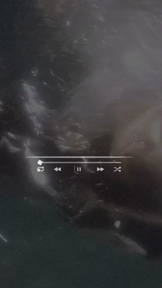 TikTok video thumbnail by poexos