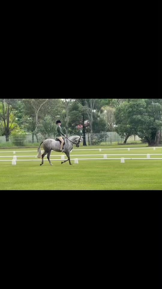 TikTok video thumbnail by miarose_equestrian