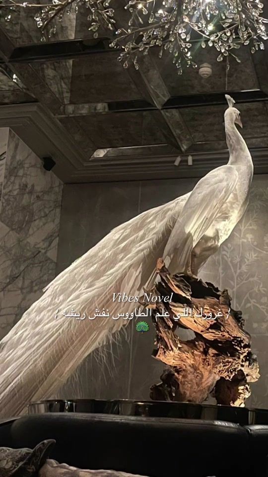 TikTok video thumbnail by r.xvs8