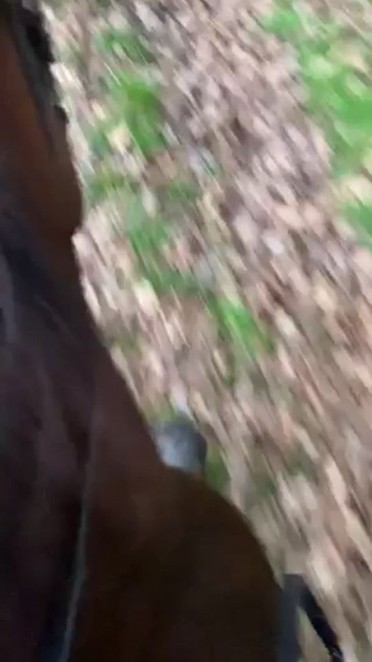 TikTok video thumbnail by lenuskaaahh