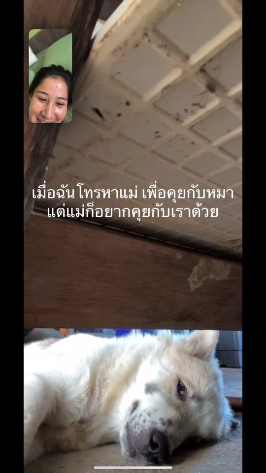 TikTok video thumbnail by haview_suchada