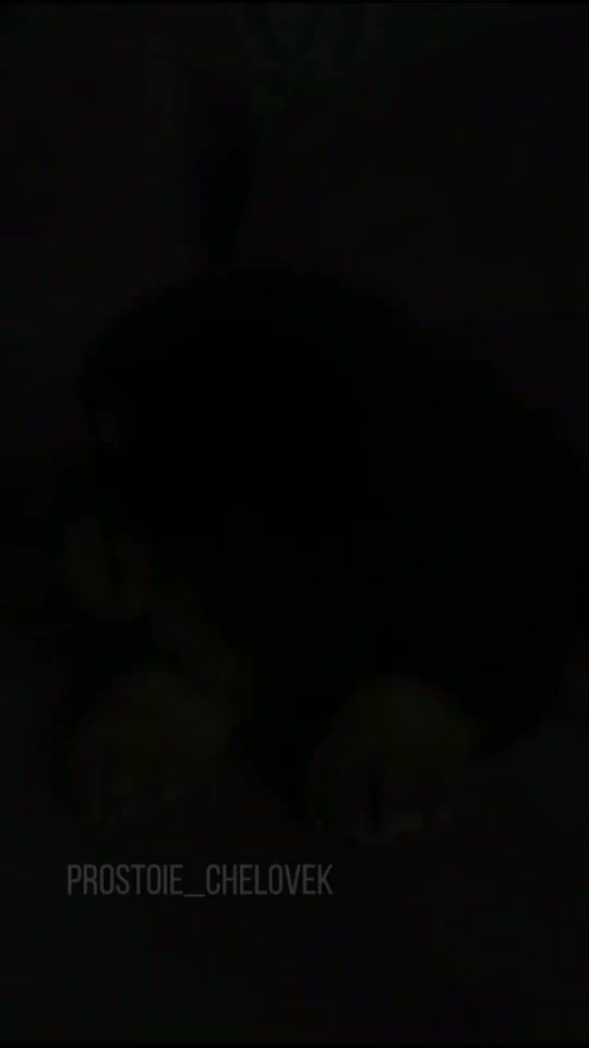 TikTok video thumbnail by _edits_animals1