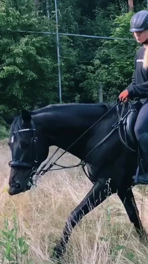 TikTok video thumbnail by shikerneshka