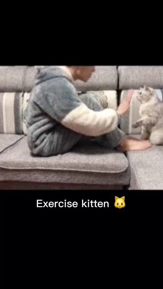 TikTok video thumbnail by catatlas
