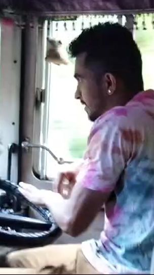 TikTok video thumbnail by rms8803