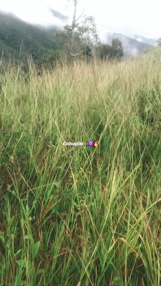 TikTok video thumbnail by apwaltarbad