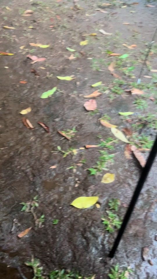 TikTok video thumbnail by wannisa_tu