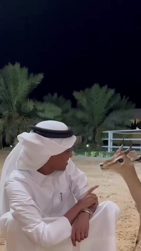 TikTok video thumbnail by j_0335