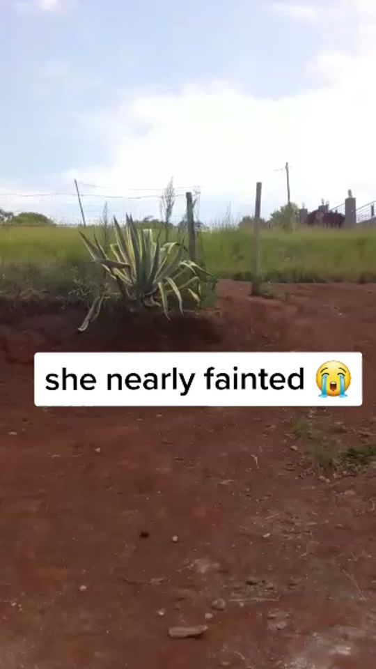 TikTok video thumbnail by cyclonequeenzee