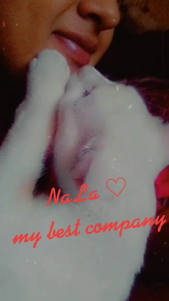 TikTok video thumbnail by cat_iza69