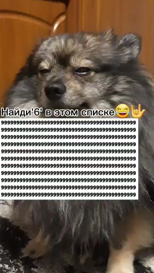 TikTok video thumbnail by spitz.rik
