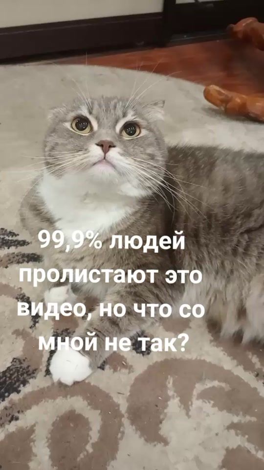 TikTok video thumbnail by cat_sessi