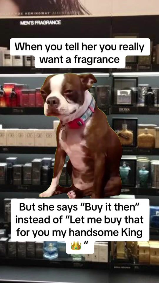 TikTok video thumbnail by milanscolognes