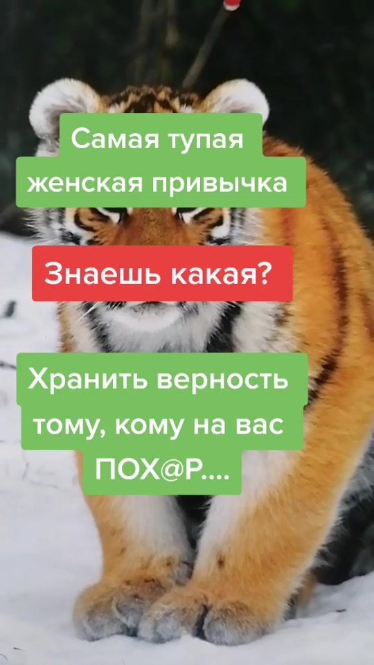 TikTok video thumbnail by solnze006