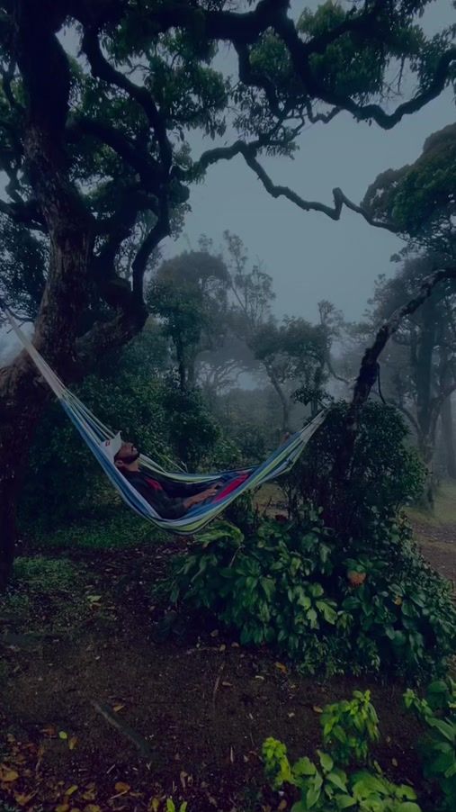 TikTok video thumbnail by travel___paala