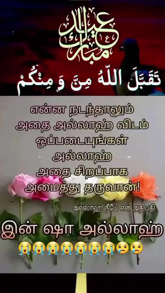 TikTok video thumbnail by asmal.love