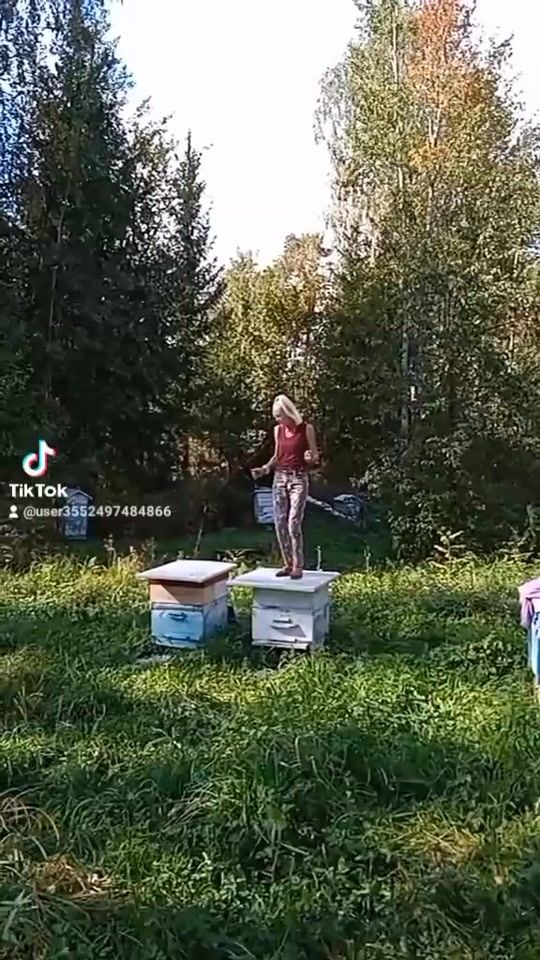 TikTok video thumbnail by user3552497484866